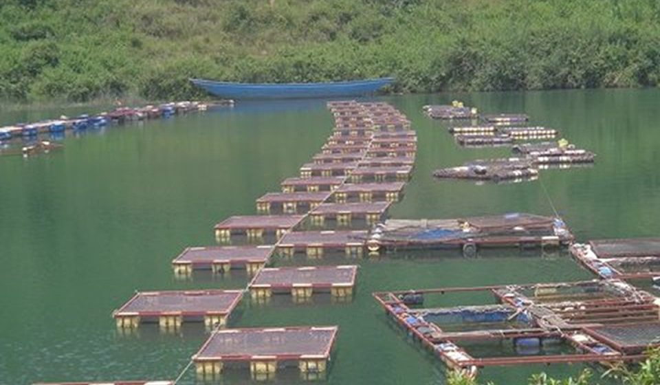 Floating Cages